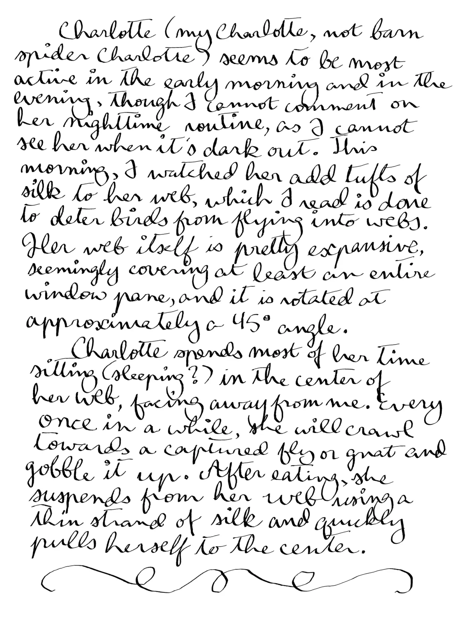 Happenings, handwritten page 2